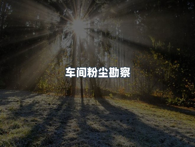 服务优势