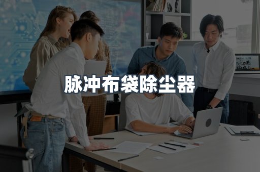 脉冲布袋除尘器